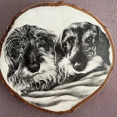 ベッド・アンド・ブレックファスト Noi Due - Nel Monferrato 4*