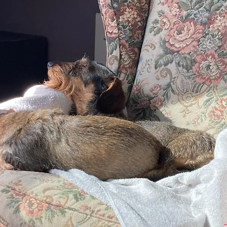 Noi Due - Nel Monferrato Quargnento