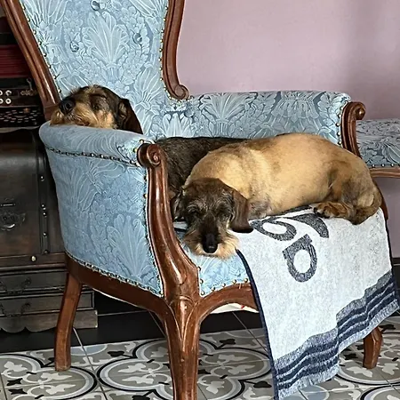 Frühstückspension Noi Due - Nel Monferrato Quargnento